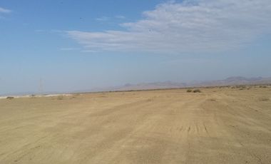 HERMOSO TERRENO EN TALARA DE 98 HECTÁREAS :