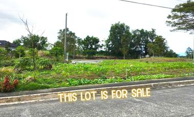 lot for sale in Tagaytay City
