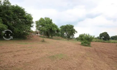 Venta de Rancho ubicado en coronel traconis cerca del aeropuerto de villahermosa, tabasco