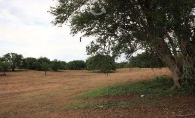 Venta de Rancho ubicado en coronel traconis cerca del aeropuerto de villahermosa, tabasco