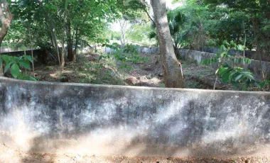 Venta de Rancho ubicado en coronel traconis cerca del aeropuerto de villahermosa, tabasco