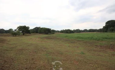 Venta de Rancho ubicado en coronel traconis cerca del aeropuerto de villahermosa, tabasco