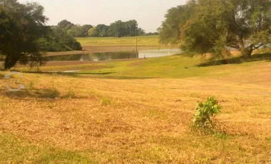 Venta de Rancho ubicado en coronel traconis cerca del aeropuerto de villahermosa, tabasco