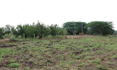 Venta de Rancho ubicado en coronel traconis cerca del aeropuerto de villahermosa, tabasco