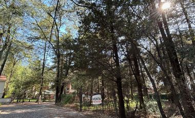 TERRENO EN VENTA, FRACCIONAMIENTO BOSQUES DE CUAUHYOCAN.