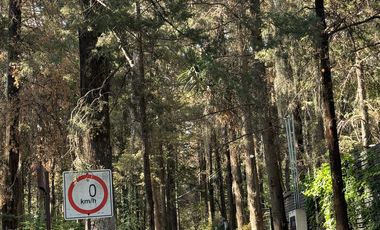 TERRENO EN VENTA, FRACCIONAMIENTO BOSQUES DE CUAUHYOCAN.