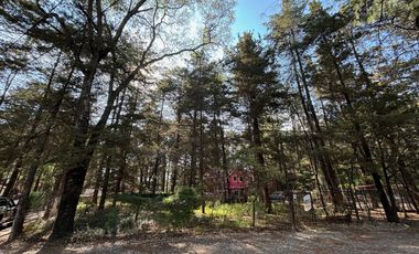 TERRENO EN VENTA, FRACCIONAMIENTO BOSQUES DE CUAUHYOCAN.