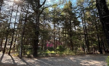 TERRENO EN VENTA, FRACCIONAMIENTO BOSQUES DE CUAUHYOCAN.