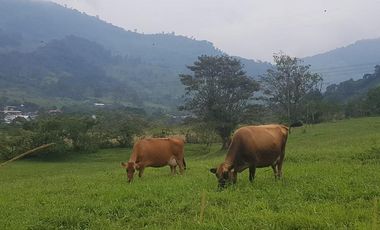 El Chaco, Oportunidad Venta Finca 97 Hect, Negociable