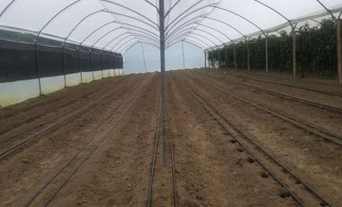 El Chaco, Oportunidad Venta Finca 97 Hect, Negociable