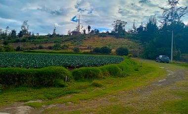 Terreno de Venta en Ambato