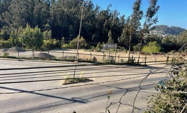 VENDE  SITIO DE 500 M2 CONSTITUCIÓN