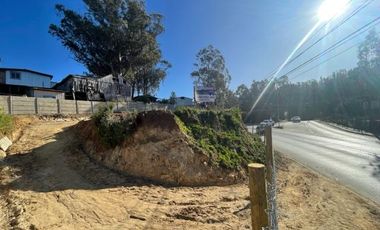 VENDE  SITIO DE 500 M2 CONSTITUCIÓN