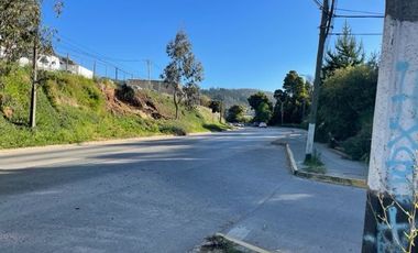 VENDE  SITIO DE 500 M2 CONSTITUCIÓN