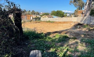 VENDE  SITIO DE 500 M2 CONSTITUCIÓN