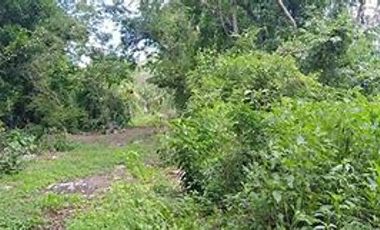 TERRENO EN VENTA EN LEONA VICARIO, PUERTO MORELOS