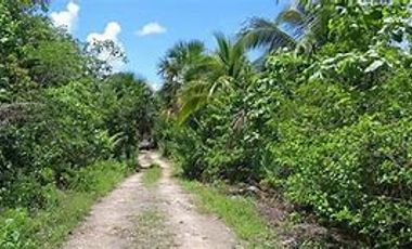 TERRENO EN VENTA EN LEONA VICARIO, PUERTO MORELOS