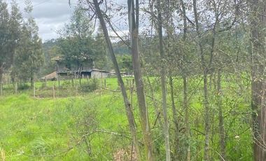 Hermoso terreno planito 1.671m2 vía Déleg - Ricaurte $42.000dlrs.