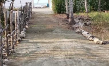 Venta de Casa  de Playa  San Bernardo del Viento- Mar Caribe