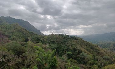 SE VENDE ECO HOTEL NATURAL BAÑADO POR DOS RIOS EL ALTOS DE BURITACA