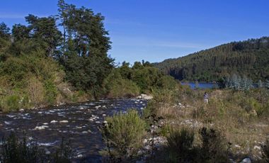 Parcela de 1,5 ha con casa, departamento y acceso a playa en Futrono, Lago Ranco
