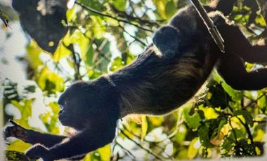 reserva natural de venta en manta bosque Pacoche