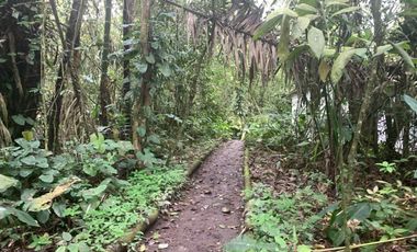 reserva natural de venta en manta bosque Pacoche
