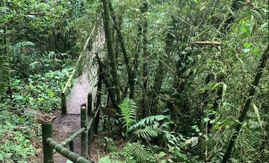 reserva natural de venta en manta bosque Pacoche