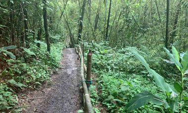 reserva natural de venta en manta bosque Pacoche