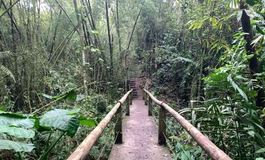 reserva natural de venta en manta bosque Pacoche