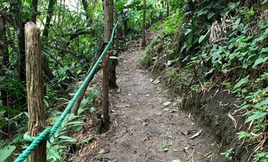 reserva natural de venta en manta bosque Pacoche