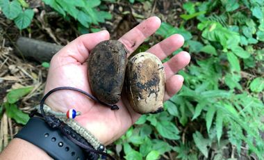 reserva natural de venta en manta bosque Pacoche
