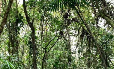 reserva natural de venta en manta bosque Pacoche
