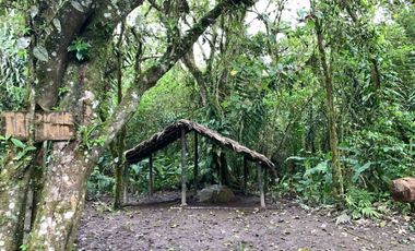 reserva natural de venta en manta bosque Pacoche