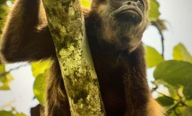 reserva natural de venta en manta bosque Pacoche