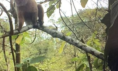 reserva natural de venta en manta bosque Pacoche