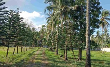 FOR SALE: 12 Hectares Agricultural Lot can be converted to Commercial Lot along Highway in Lipa, Batangas