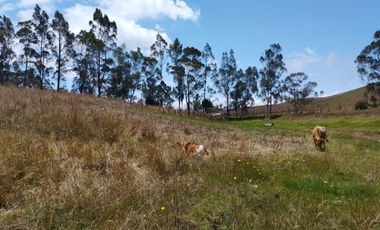 VENTA- DE ¡TERRENO EN  GUANUJO! 7.000 m² ¡Oportunidad Única!