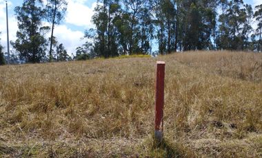 VENTA- DE ¡TERRENO EN  GUANUJO! 7.000 m² ¡Oportunidad Única!