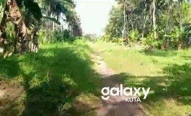 DIJUAL TANAH SERIBUPATI CAU MELAYU MARGA TABANAN, BALI