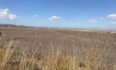 Se Venden 10 Hectáreas Sobre Carretera Pachuca - Tolcayuca Hgo