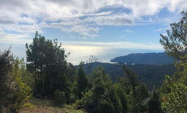 Venta de Terreno 5.00o m2 sector Bonifacio costa Valdivia