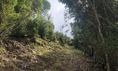 Venta de Terreno 5.00o m2 sector Bonifacio costa Valdivia