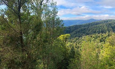 Venta de Terreno 5.00o m2 sector Bonifacio costa Valdivia