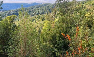 Venta de Terreno 5.00o m2 sector Bonifacio costa Valdivia