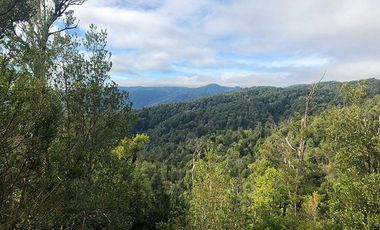 Venta de Terreno 5.00o m2 sector Bonifacio costa Valdivia