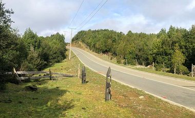 Venta de Terreno 5.00o m2 sector Bonifacio costa Valdivia