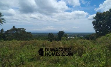 - S O L D -       OCEAN VIEW LOT CLOSE TO DUMAGUETE CITY ( 2,478 SQM. )