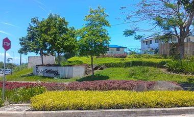 Avida Nuvali Parkway settings Nuvali Near Mirriam College Nuvali