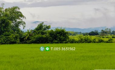 Land for sale Mae Rim Size 4-3-55 Rai A beautiful view of rice fields, mountains, cement road. 250 meters from Chotana Road ( Chiang Mai - Mae Rim : Highway 107 ) Located in a community area, not isolated Price 8,000,000 baht
